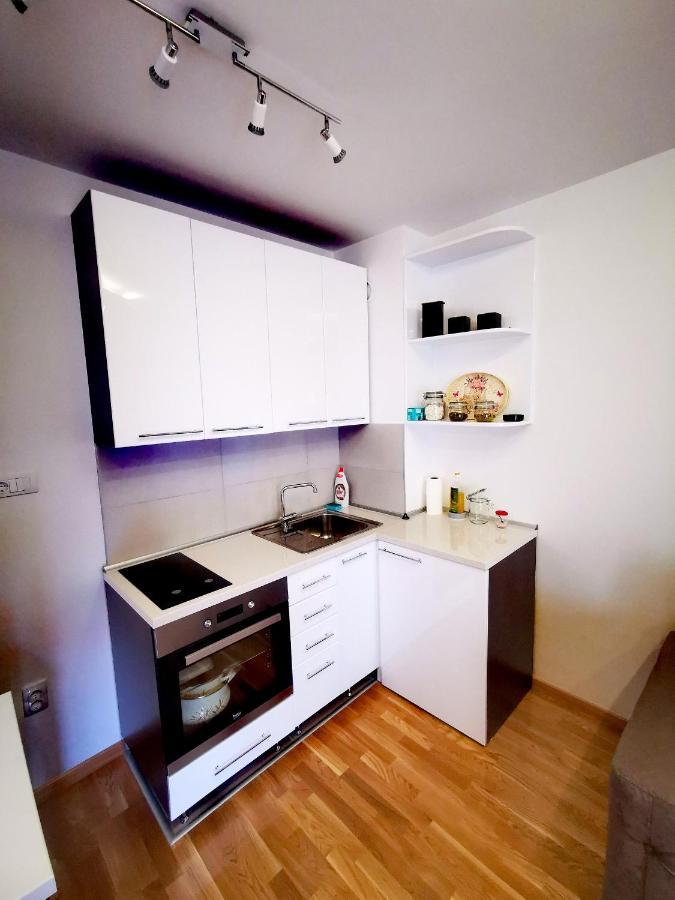 Apartament Panorama Zlatibor Zewnętrze zdjęcie